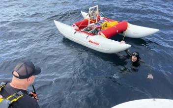 Marathon Swimmer Says He Quit Lake Michigan Swim After Going in Wrong Direction With Dead GPS