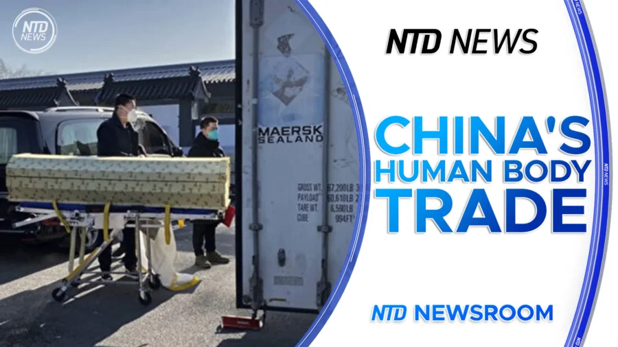 NTD Newsroom Full Broadcast (Aug. 13)