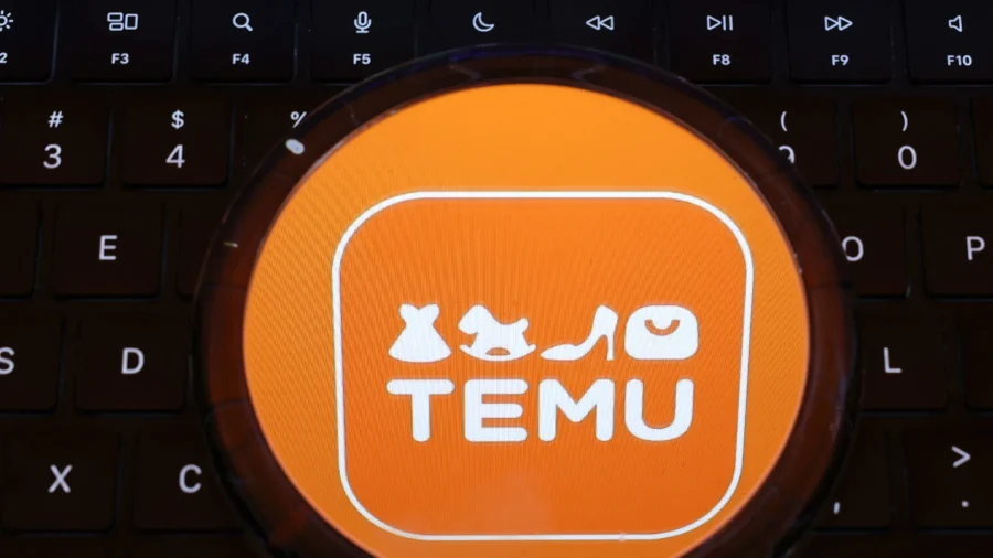 Temu Owner Sees Stock Plunge After Revenue Report
