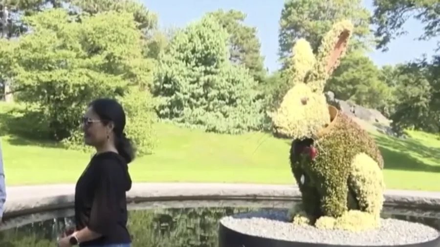 Giant Rabbit Graces Alice in Wonderland Exhibit at New York Botanical Garden