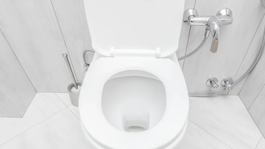 Pathogens in Toilets: Careful With That Flush, Eugene