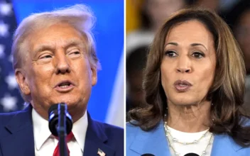 Goldman Sachs Urges Trump and Harris to Include Small Business Issues in Upcoming Debate