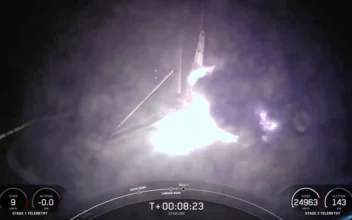 FAA Grounds SpaceX After Rocket Falls Over in Flames at Landing