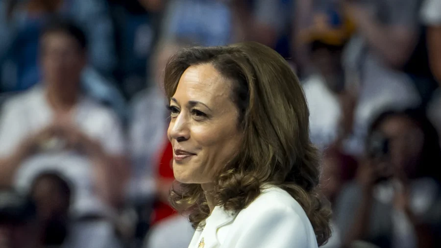 Voters Need to See Harris Stand Alone: Democratic Strategist