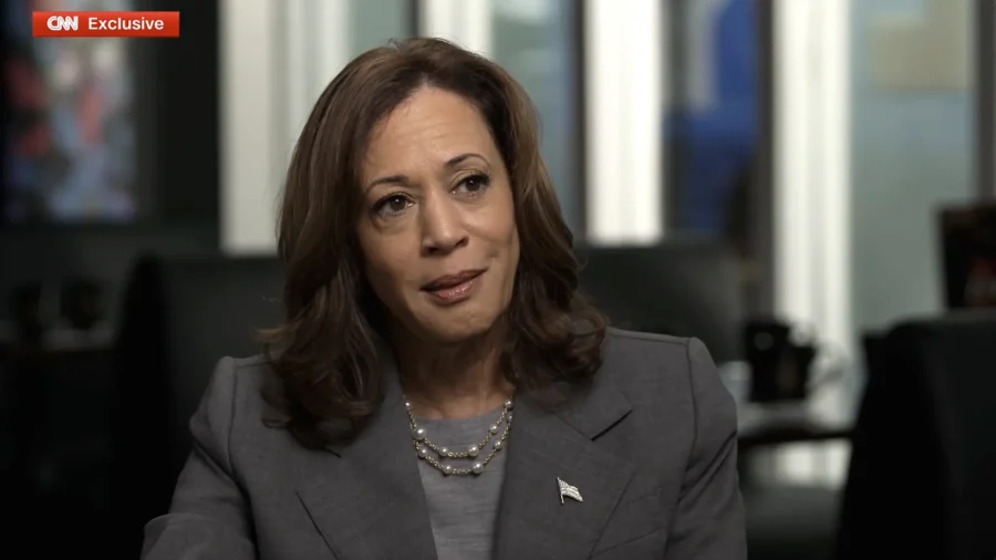Democrat Policy Expert Says Harris Didn't Blunt Her Momentum in First Interview