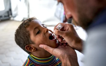 UN Begins Mass Polio Vaccination Campaign in Gaza