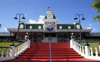 Tiger Bites Handler at Australian Amusement Park