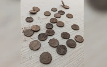 Haul of Ancient Roman Coins Discovered in Sicily