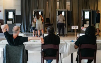 Excitement Among Georgian Voters as Presidential Candidates Rally to Get Out the Vote: Democratic Strategist