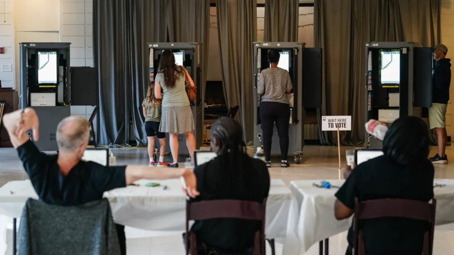 Excitement Among Georgian Voters as Presidential Candidates Rally to Get Out the Vote: Democratic Strategist