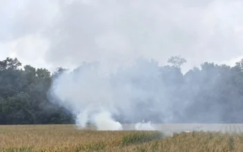 Small Plane From Iowa Crashes in Indiana Cornfield, Killing Everyone Onboard