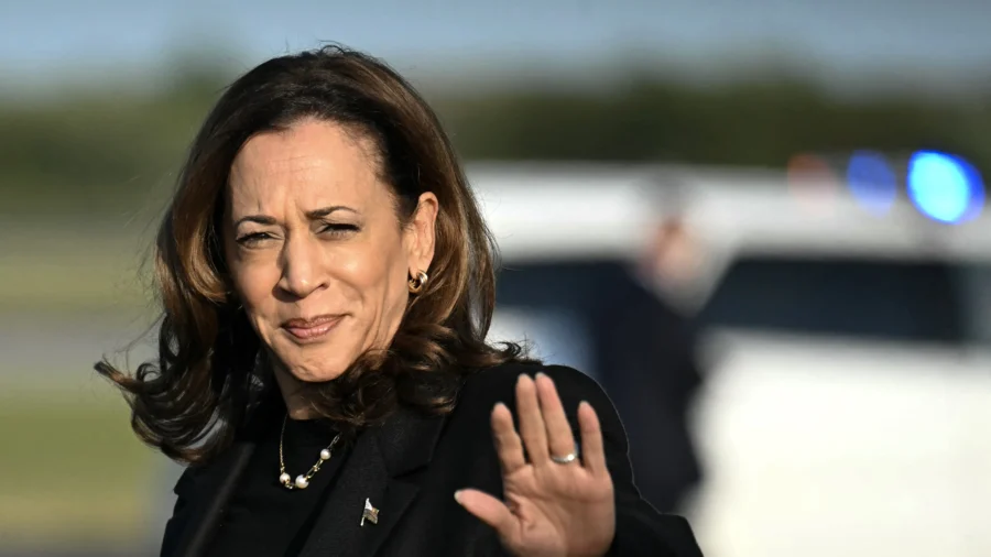 Harris Unveils Economic Policies on Campaign Website