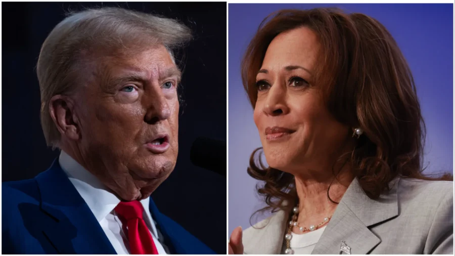 Political Analysts Share What They Hope to See at Harris-Trump Debate