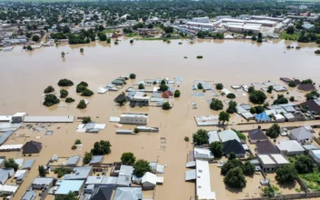 Dam Collapse in Nigeria Sweeps Deadly Reptiles Into Flooded Communities