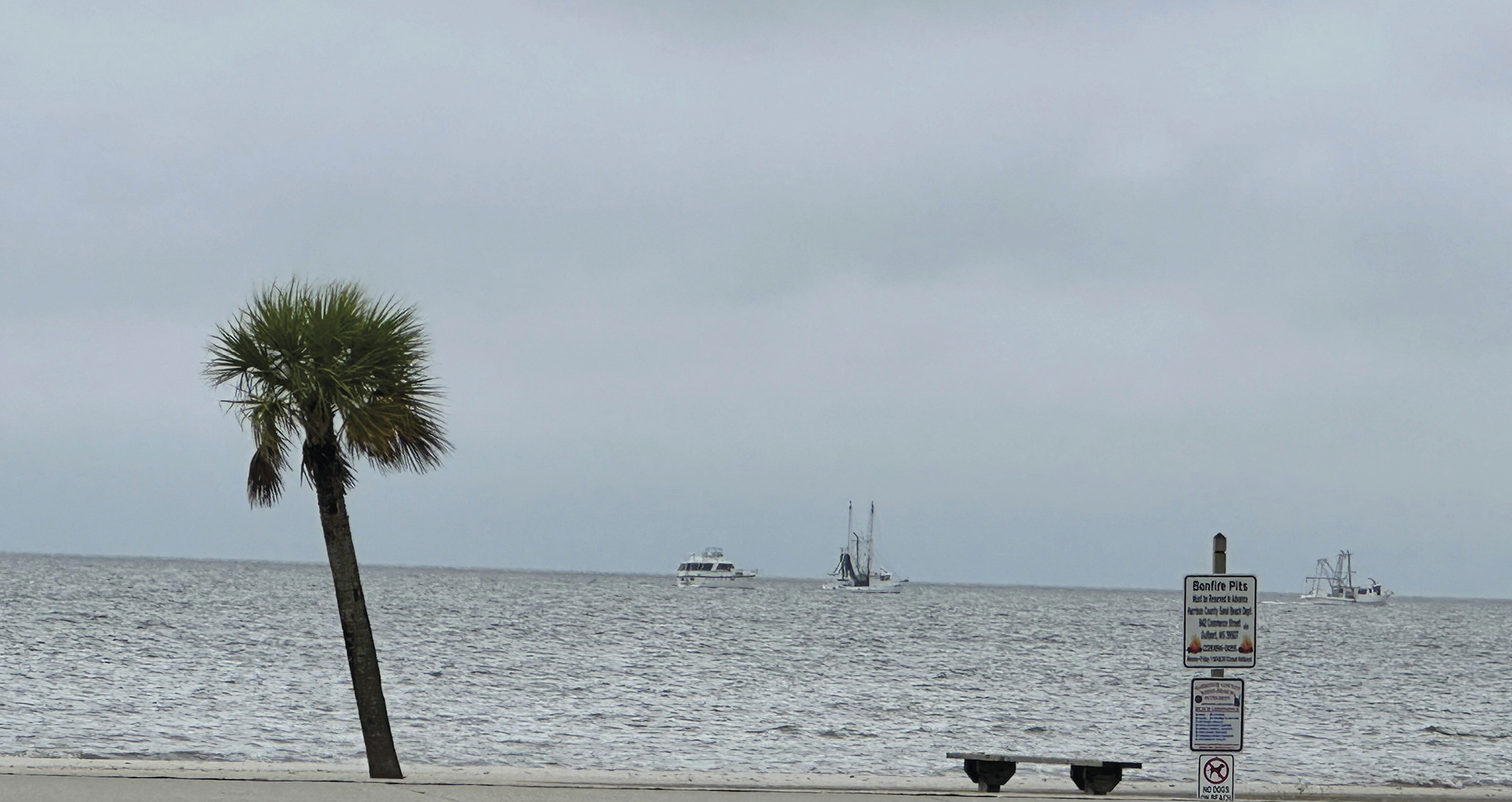 Francine Hurricane as Louisiana Residents Brace for Expected