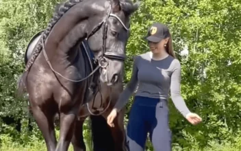 Woman Teaches Stallion How to Dance