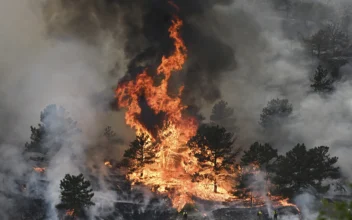 Colorado Man Is Charged With Arson in Wildfire That Destroyed 29 Homes