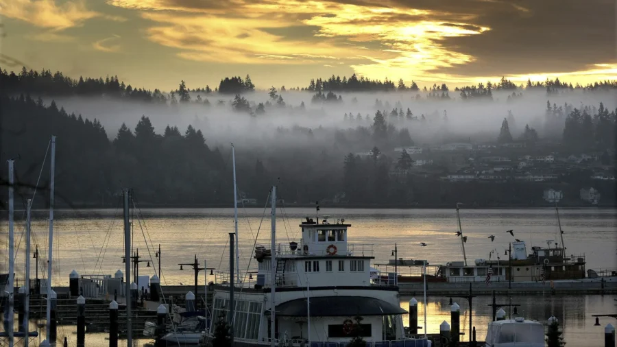 River Otter Attacks Child at a Seattle-Area Marina