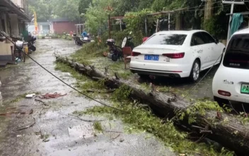 Typhoon Bebinca Lashes Shanghai in Strongest Storm to Hit City Since 1949