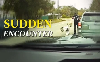 Deputy Got Attacked by an Angry Turkey – and Took It All in Good Humor