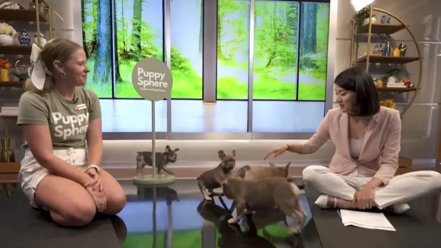 The Ultimate Stress Reliever: Puppysphere Puts the 'Dog' in Downward Dog
