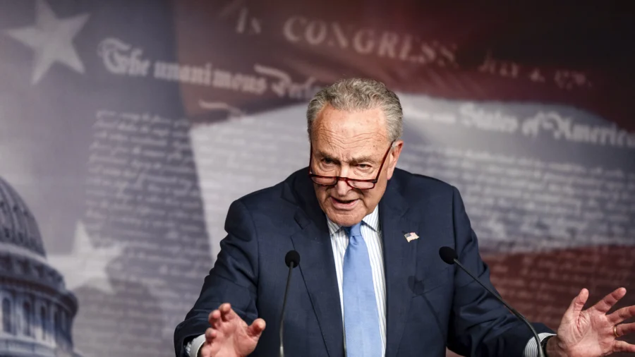 Schumer, Democrats Discuss Need for Nationwide Right to IVF