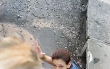 Woman Rescues Kitten in Storm Drain