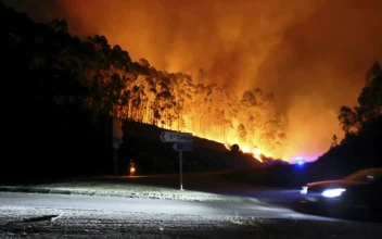 Portugal Declares State of Calamity as Wildfires Rage out of Control