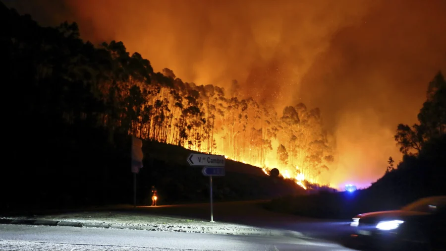 Portugal Declares State of Calamity as Wildfires Rage out of Control