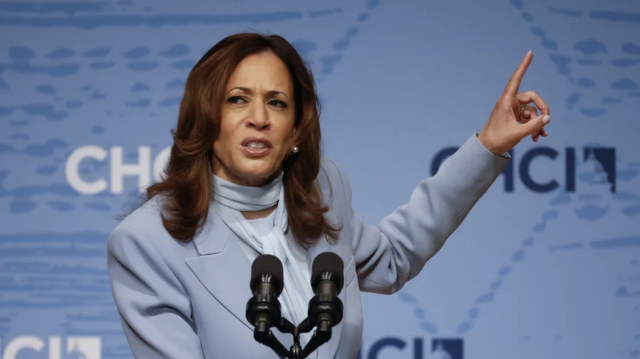 Harris Should 'Spend All of Her Time' in Crucial Swing States: Democratic Strategist