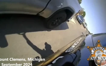 Michigan Sheriff’s Deputy Climbs Into Car to Rescue Dazed Driver