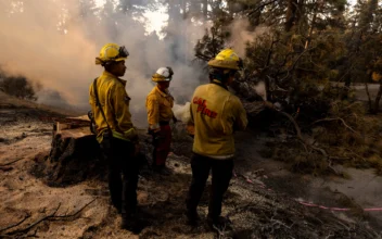 8 California Firefighters Injured After Rollover Crash