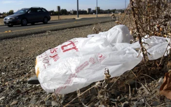 California Governor Signs Law Banning All Plastic Shopping Bags at Grocery Stores