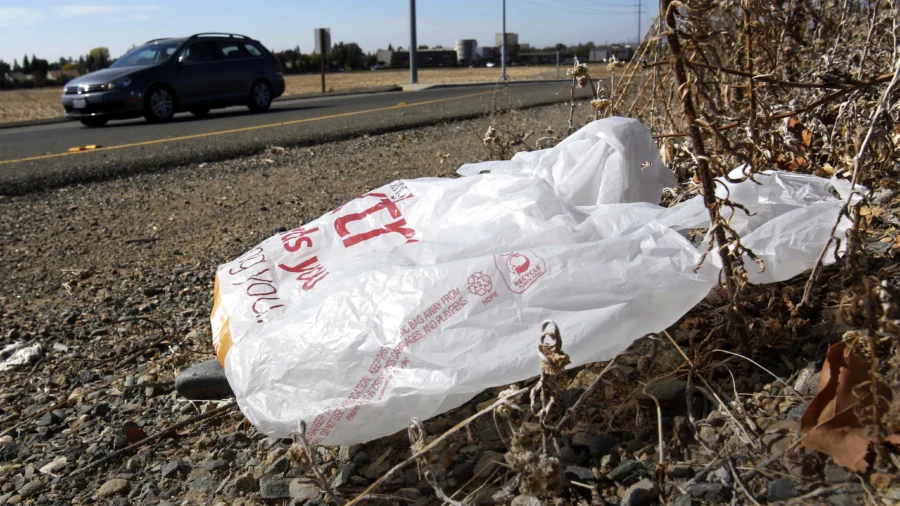 California Governor Signs Law Banning All Plastic Shopping Bags at Grocery Stores