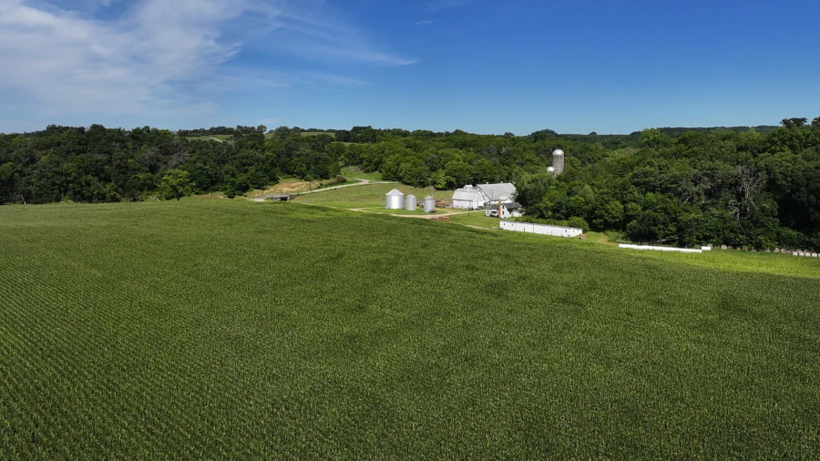 China Buying Farmland Raises Food and Security Concerns: Expert