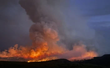 A Man Trying to Cremate His Dog Sparked a Wildfire in Colorado, Authorities Say