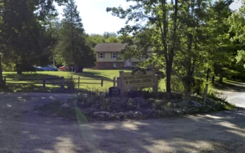 Boy on School Field Trip Dies After Tree Falls on Him at Michigan Nature Center