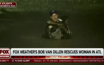 TV Reporter Abandons Live Hurricane Broadcast to Rescue Woman From Submerged Car