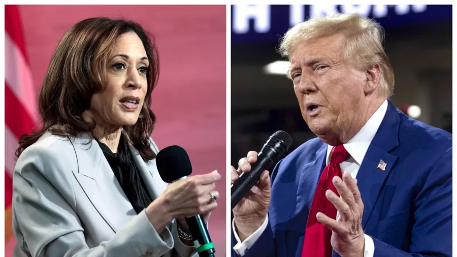Campaign Strategist Gives Pointers for a Win in November