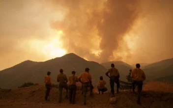 California Wildfire Flareup Prompts Evacuation in San Bernardino County