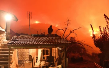 Wildfire Burning Through Forest in Southern Greece Kills 2 People