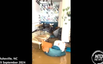 VIDEO: Asheville Business Flooded by Helene as Officials Assess Aftermath