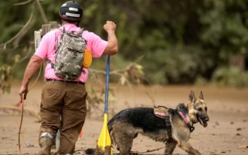 Hurricane Helene’s Death Toll Passes 150 as Crews Search for Survivors