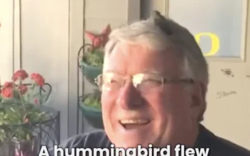 Baby Hummingbird Lands on Guy’s Head