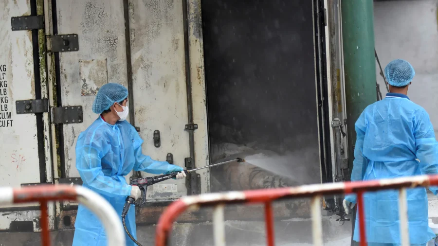 Dozens of Zoo Tigers Die After Contracting Bird Flu in Southern Vietnam