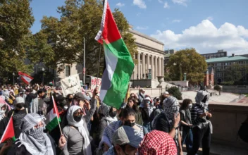 Pro-Palestinian, Pro-Israeli Protests on US College Campuses: One Year On