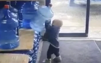 Little Boy Helped His Mom Unload Delivery Van