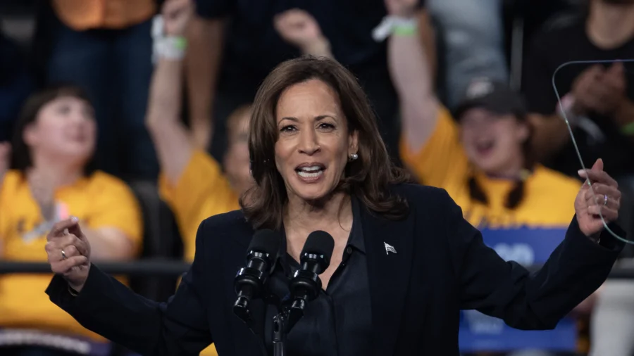 Harris Must Sustain Increased Pace of Media Encounters: Democratic Strategist