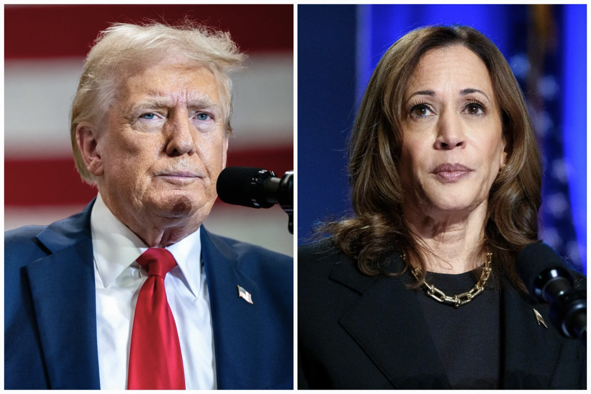 New Poll Reveals How Trump and Harris Stand in Swing States NTD