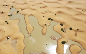 Water Gushes Through Sand Dunes After Rare Rainfall in Sahara Desert